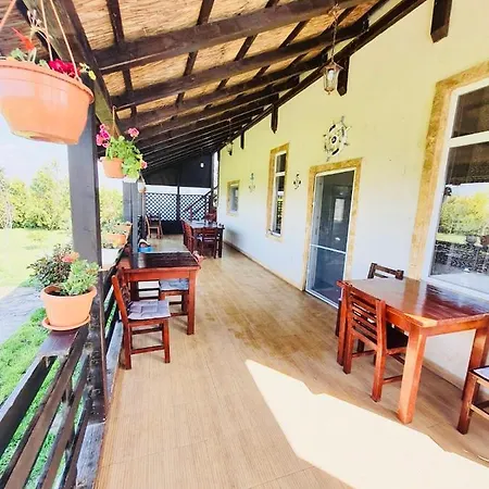 Πανσιόν Casa Radu *
