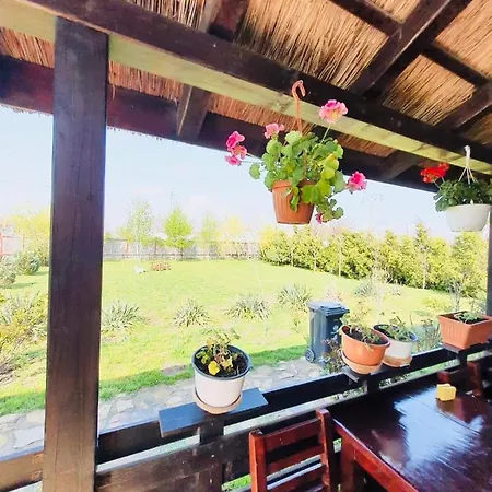 Casa Radu Guest house *