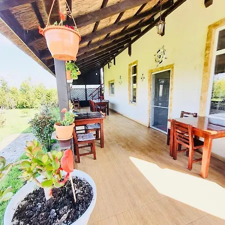 Casa Radu Guest house *