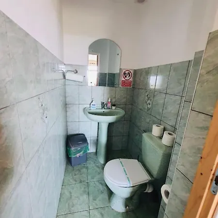 Casa Radu Guest house *