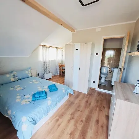 Casa Radu Guest house Jurilovca
