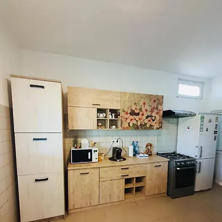Casa Radu *