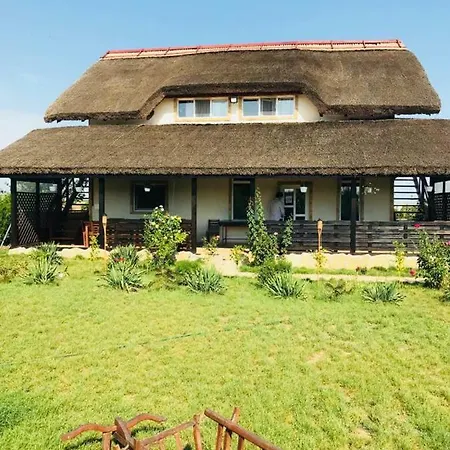 Casa Radu Guest house *