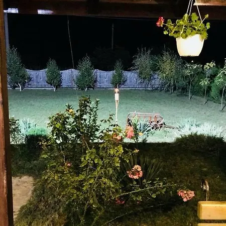 Πανσιόν Casa Radu Jurilovca