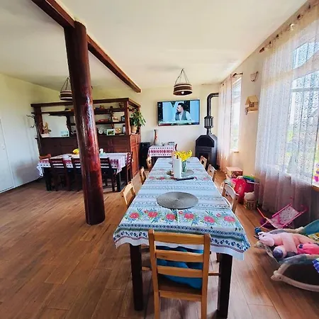 Casa Radu 茹里洛夫卡