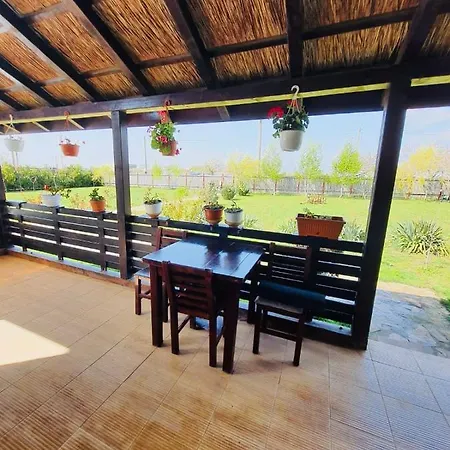 Casa Radu Affittacamere *