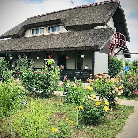 Casa Radu * 茹里洛夫卡