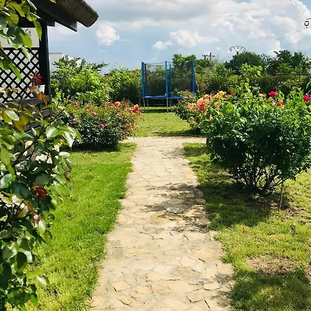Casa Radu 招待所 *